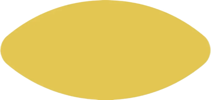 A yellow circle on a white background.